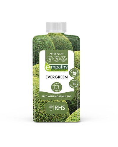 Empathy after plant evergreen - empathy,