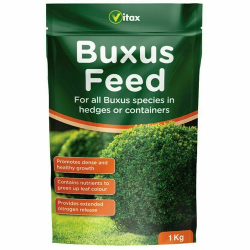 Buxus feed plant food - buxus,